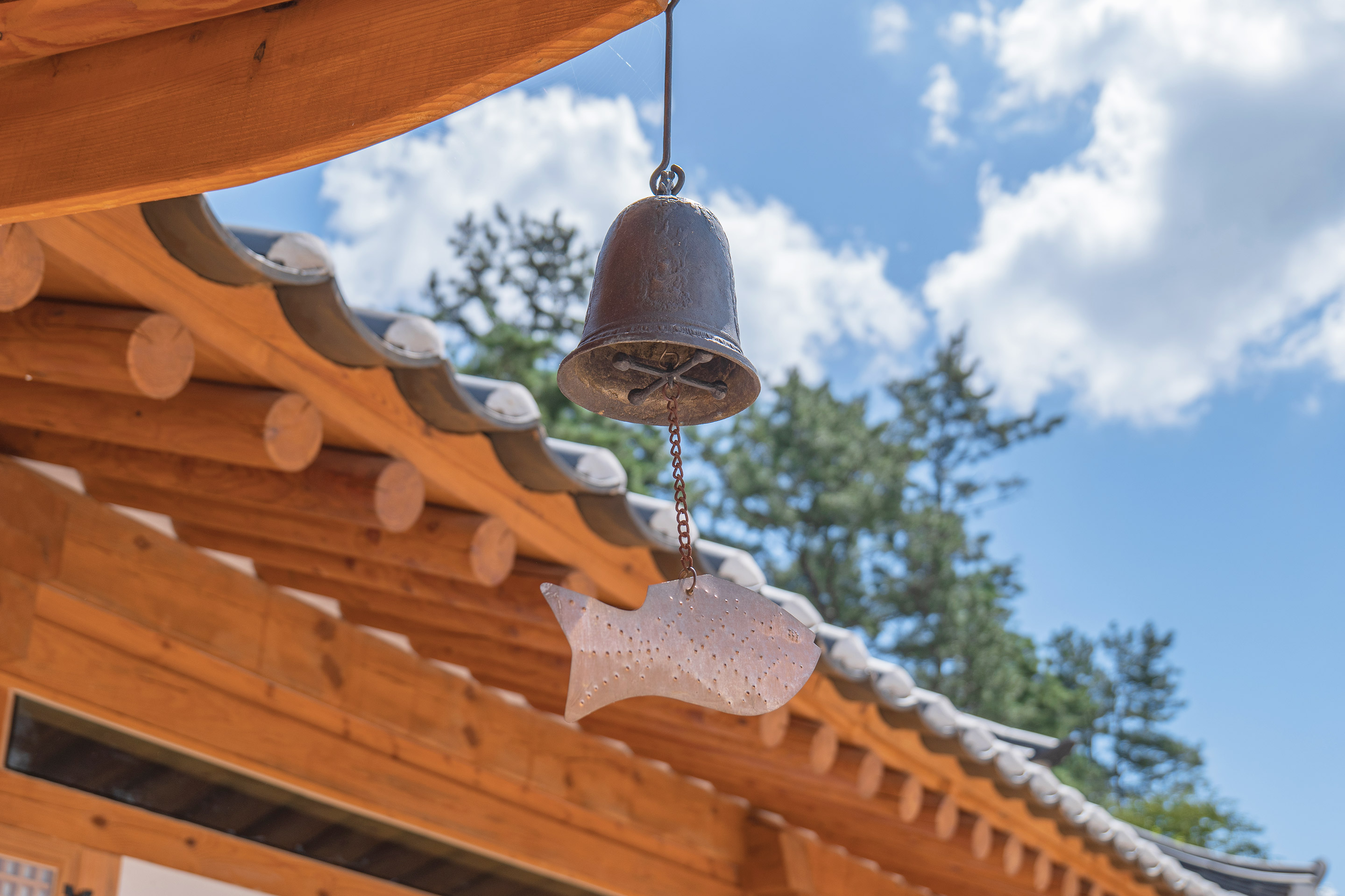 감성한옥, 레드콩